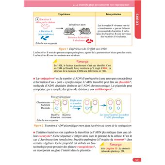 Objectif BAC Tle spécialité SVT