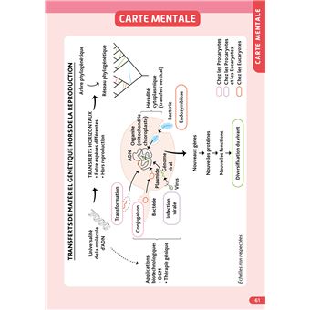 Objectif BAC Tle spécialité SVT