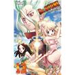 Dr. Stone - Tome 13