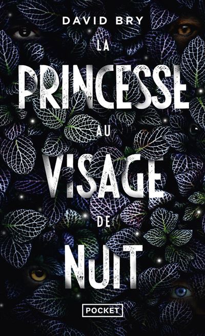 La Princesse au visage de nuit - David Bry - Pocket - Poche - Roman - Pocket