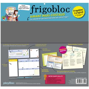 Mini Frigobloc Hebdomadaire 2023 - Calendrier d'organisation familiale /  sem (de janv. à déc. 2023): 9782809679786: : Books