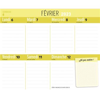 Mini Frigobloc Hebdomadaire 2023 - Calendrier d'organisation familiale /  sem (de janv. à déc. 2023): 9782809679786: : Books