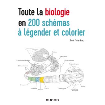 Toute la biologie en 200 schémas à légender et colorier - 1