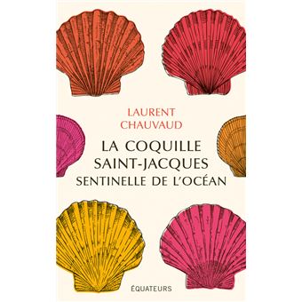 La coquille Saint-Jacques, sentinelle de l’océan - 1