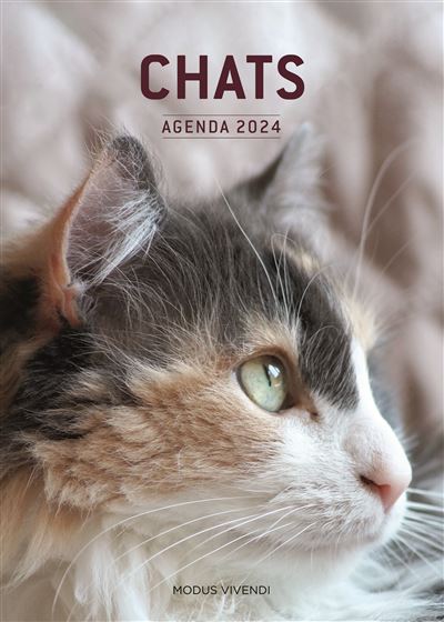 Agenda - Calendrier Drôles de chats 2024 : Collectif: : Livres