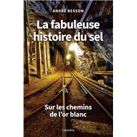 La fabuleuse histoire du sel