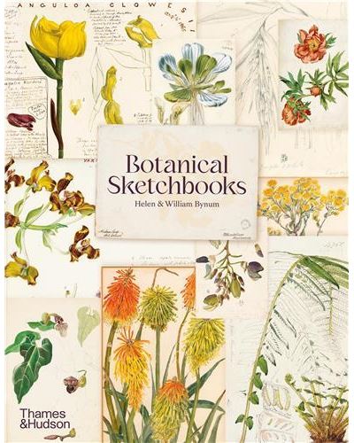Botanical Sketchbooks (paperback) /anglais
