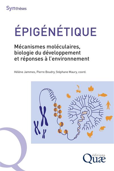 Épigénétique Mécanismes moléculaires, biologie du développement et réponses à l'environnement - Hélène Jammes - Quae - broché - Manuel
