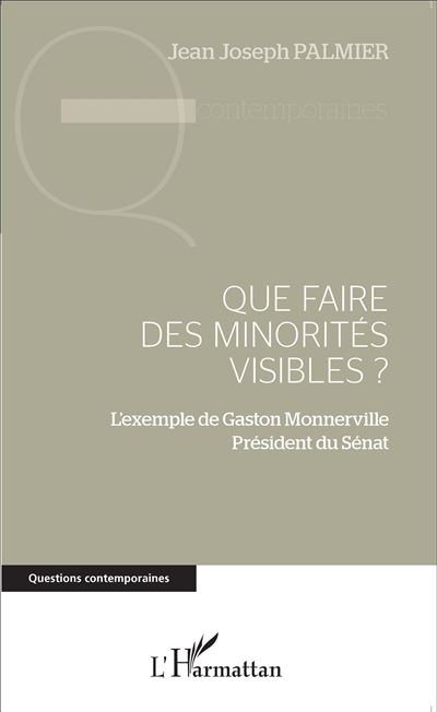 Que faire des minorités visibles ? - Jean Joseph Palmier - broché