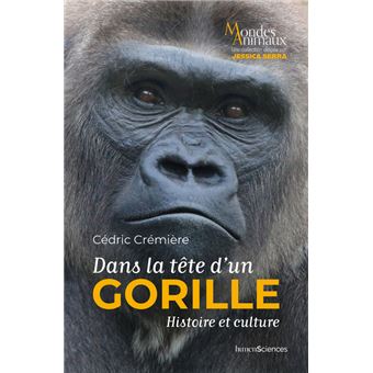 Dans la tête d'un gorille - 1