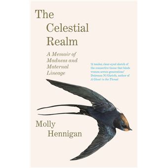 The Celestial Realm: SHORTLISTED FOR THE SUNDAY INDEPENDENT NEWCOMER OF THE YEAR IRISH BOOK AWARDS - 1