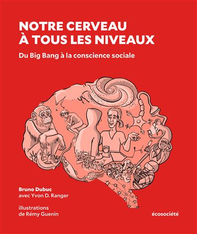 Notre cerveau à tous les niveaux : Du Big Bang à la conscience sociale - Bruno Dubuc , Yvon D. Ranger (2024)