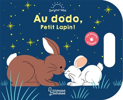 Au dodo, Petit Lapin ! - Raphaëlle Michaud - Larousse - cartonné - Album éveil dès la naissance