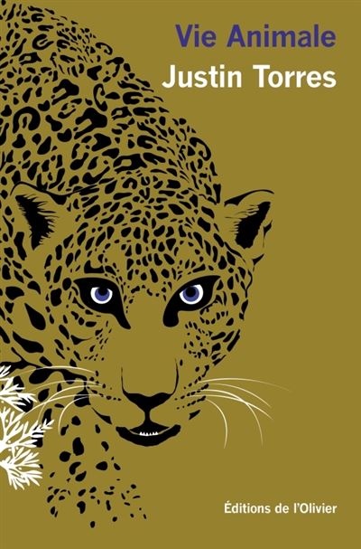 Vie animale - Justin Torres - De L'olivier Eds - broché - Roman - De L'olivier Eds