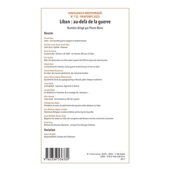 Liban : au-delà de la guerre