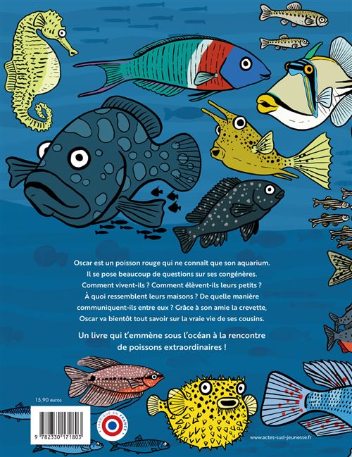 Lot De 5 Estampes De Poissons – Collection Heddon – Vintage