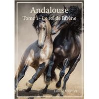 Andalouse, tome 1