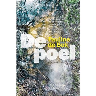De poel - 1