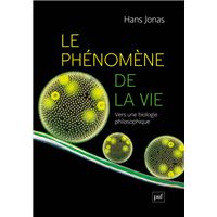 Le phénomène de la vie