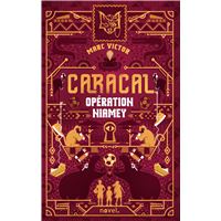 Caracal : Opération Niamey