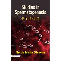 Studies in Spermatogenesis (Part 2 of 2)