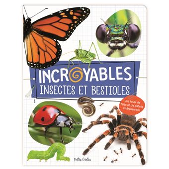 Incroyables insectes et bestioles - cartonné - Claire Chabot - Achat ...
