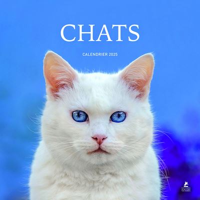 Le Calendrier 2025 de Chats : Douze Mois de Félin Bonheur