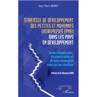 Stratégie de développement des petites et moyennes entreprises (PME) dans les pays en développement