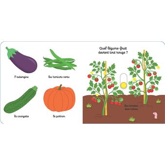 Mon imagier et cahier d'activités Fruits & Légumes