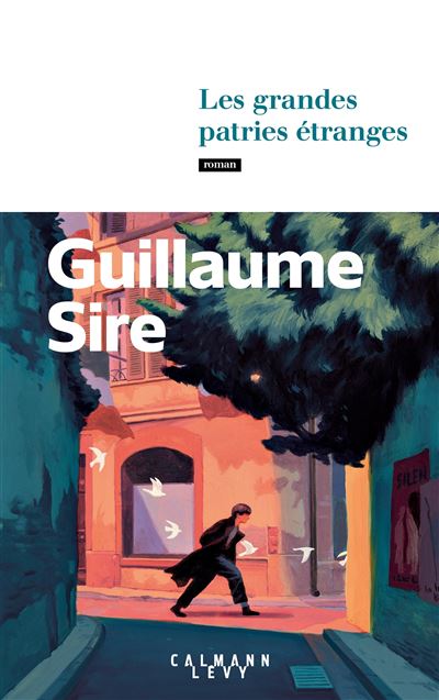 Les grandes patries étranges - Guillaume Sire (2024)