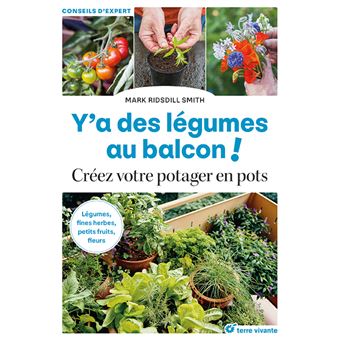 Plante potagère : définition et explications