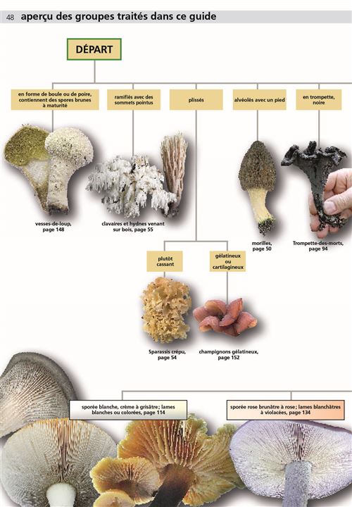 Manuel des champignons comestibles et toxiques - relié - Jens H