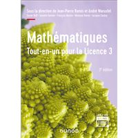 Mathématiques Tout-en-un pour la Licence 3