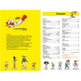 Cahier de vacances Ariol - Les incollables - CP au CE1 - 6/7 ans