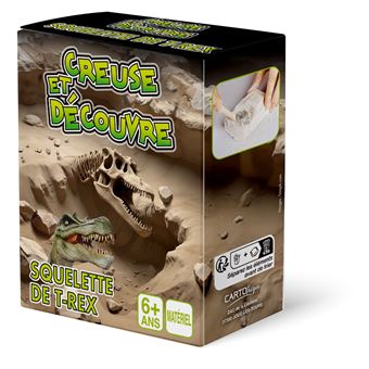 Générique Couverture Crânienne De Squelette De Dinosaure, Pièce