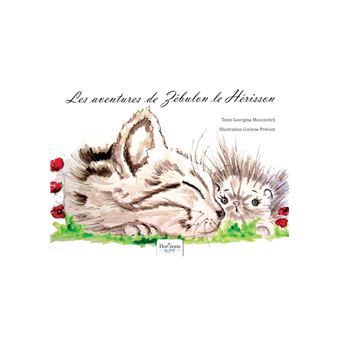 Zébulon le hérisson - Petit chat et Zébulon - 1