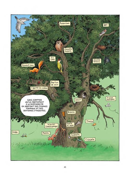 Le Génie de la forêt - 6
