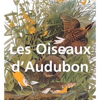 Les Oiseaux d'Audubon - 1