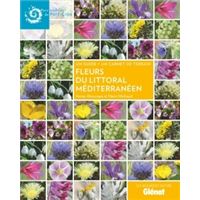 Fleurs du littoral méditerranéen