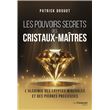 Les pouvoirs secrets des cristaux-maîtres