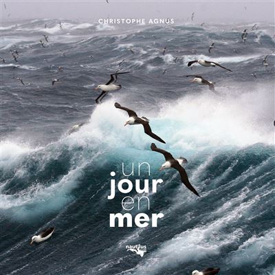 Un jour en mer