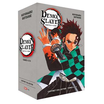 Demon Slayer - Demon Slayer, T06 - 1
