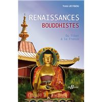 Beaux Livres Sur Le Bouddhisme Le Bouddhisme La Suite Livre BD beaux-livres-sur-le-bouddhisme-le-bouddhisme-la-suite-livre-bd