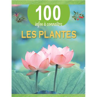 elephant ear plant bloom Lovely Night Fragrant Alocasia Tubers for Sale Online main image 0