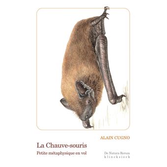 La Chauve-souris - 1