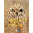 Chouettes et hiboux