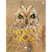Chouettes et hiboux