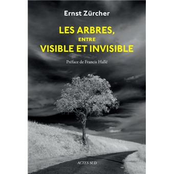 Les Arbres, entre visible et invisible - 1