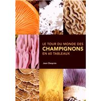 Tour du monde des champignons en 60 tableaux (Le)