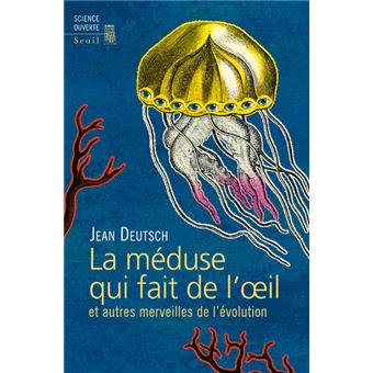 Top 10 des méduses les plus incroyables